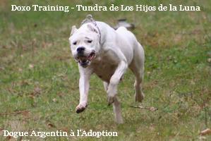 Doxotrainingtundradeloshijosdelaluna