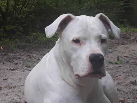 72182474 3051302795095175 5427974407349862400 o 1