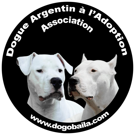 Logoassociationdaa