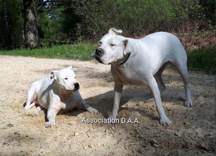 Screenshot 20200520 140124